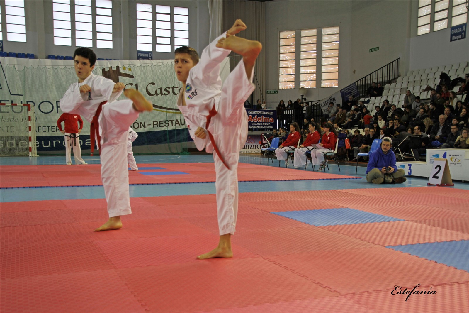 Taekwondo (189).jpg